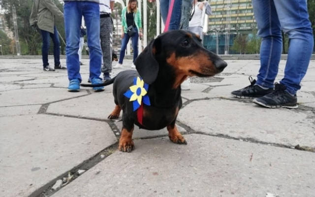 В Запорожье прошла В Запорожье прошла