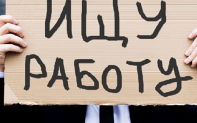 В Бердянске на одну вакансию претендует больше ста человек Фото № 0 В Бердянске на одну вакансию претендует больше ста человек Фото № 0