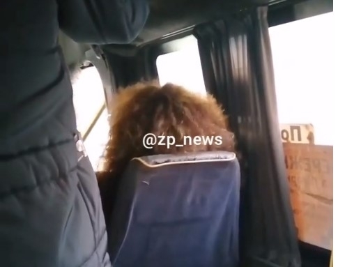 В запорожской маршрутке водитель выходит на каждой остановке, чтобы открыть двери пассажирам (ВИДЕО) Фото № 0 В запорожской маршрутке водитель выходит на каждой остановке, чтобы открыть двери пассажирам (ВИДЕО) Фото № 0