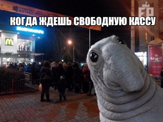В Запорожье привезли популярного персонажа Фото № 2 В Запорожье привезли популярного персонажа Фото № 2
