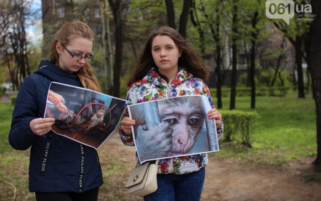 Сегодня в Запорожье прошел необычный митинг Фото № 3 Сегодня в Запорожье прошел необычный митинг Фото № 3