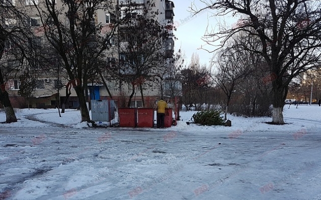 Запорожцы странно избавляются от новогодних елок (ФОТО) Фото № 1 Запорожцы странно избавляются от новогодних елок (ФОТО) Фото № 1