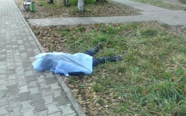 В Запорожье обнаружили труп возле школы (ФОТО 18+) Фото № 0 В Запорожье обнаружили труп возле школы (ФОТО 18+) Фото № 0