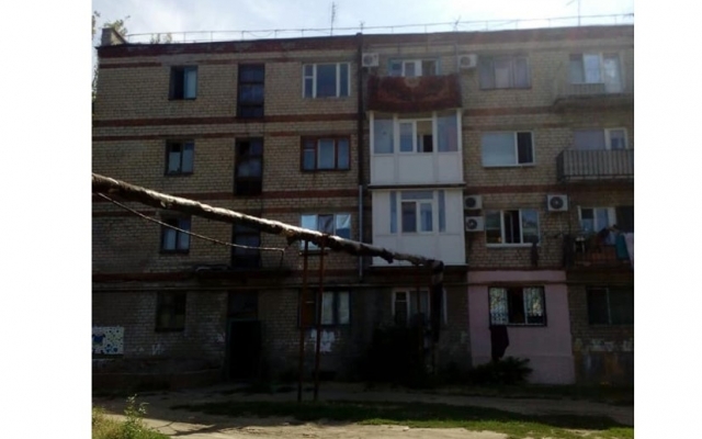 В Запорожской области дети жестоко убили котенка (ФОТО) Фото № 1 В Запорожской области дети жестоко убили котенка (ФОТО) Фото № 1