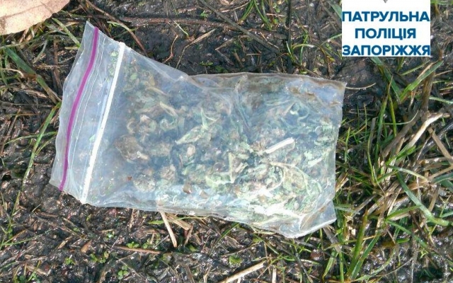 Запорожца подозревают в хранении оружия и наркотиков Фото № 2 Запорожца подозревают в хранении оружия и наркотиков Фото № 2