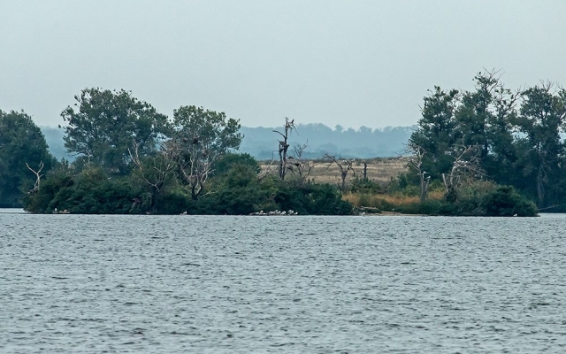 В водах Днепра запорожские дайверы искали затопленную пещеру (ФОТО) Фото № 6 В водах Днепра запорожские дайверы искали затопленную пещеру (ФОТО) Фото № 6