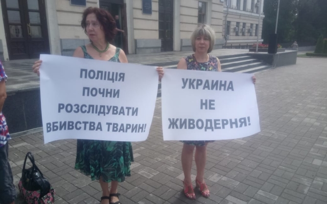 Запорожцы митингуют под стенами мэрии (ФОТО) Фото № 4 Запорожцы митингуют под стенами мэрии (ФОТО) Фото № 4
