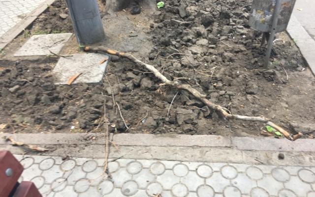 В центре запорожанку чуть не В центре запорожанку чуть не