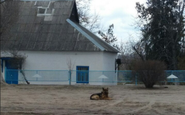 Запорожский Запорожский