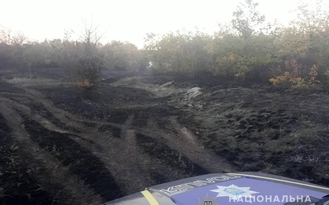 В Запорожской области задержали поджигателя (ФОТО) Фото № 0 В Запорожской области задержали поджигателя (ФОТО) Фото № 0
