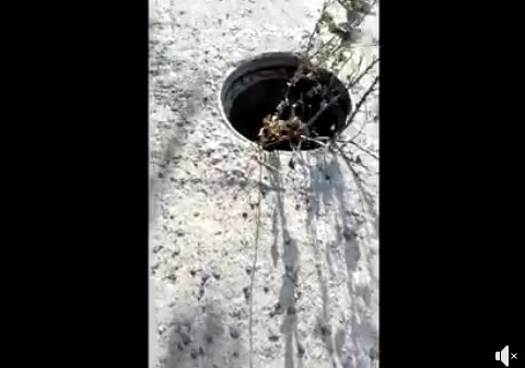 Запорожанка за несколько минут насчитала несколько открытых люков (ВИДЕО) Фото № 0 Запорожанка за несколько минут насчитала несколько открытых люков (ВИДЕО) Фото № 0