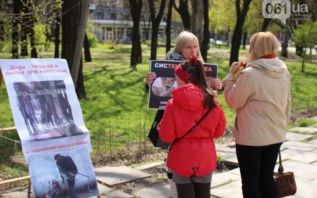 Сегодня в Запорожье прошел необычный митинг Фото № 6 Сегодня в Запорожье прошел необычный митинг Фото № 6
