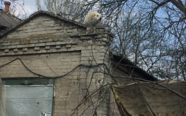 Дом-угроза возле детской поликлиники Фото № 2 Дом-угроза возле детской поликлиники Фото № 2