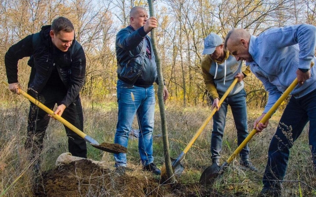 Как восстанавливали Аллею дубов на Хортице Фото № 3 Как восстанавливали Аллею дубов на Хортице Фото № 3