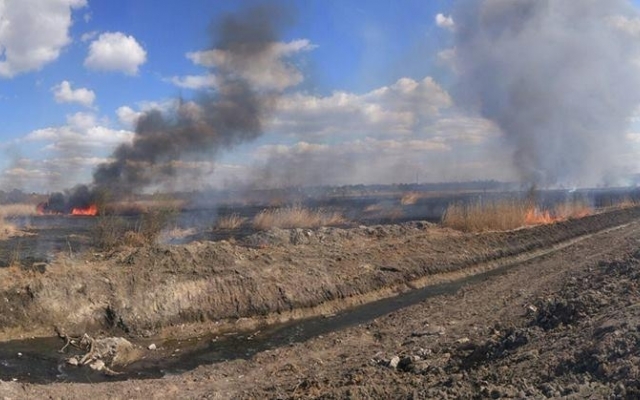 Стало известно о последствиях вчерашних крупных пожаров в Запорожье Фото № 1 Стало известно о последствиях вчерашних крупных пожаров в Запорожье Фото № 1