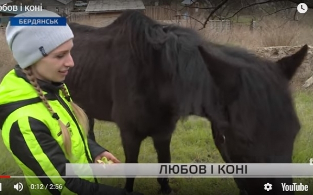 До слез: Запорожанка спасла лошадь от гибели (ВИДЕО) Фото № 0 До слез: Запорожанка спасла лошадь от гибели (ВИДЕО) Фото № 0