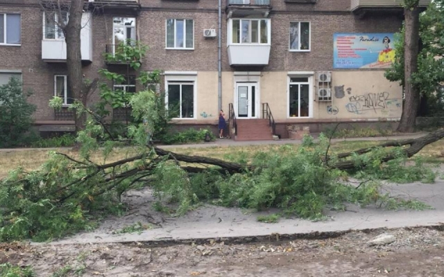 В Запорожье на автомобили падают деревья (ФОТО) Фото № 0 В Запорожье на автомобили падают деревья (ФОТО) Фото № 0