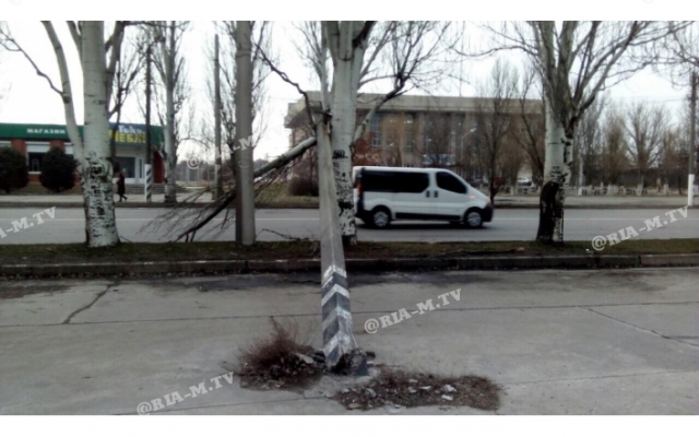 В Запорожской области столб повис на ветках над головами людей (ФОТО) Фото № 4 В Запорожской области столб повис на ветках над головами людей (ФОТО) Фото № 4