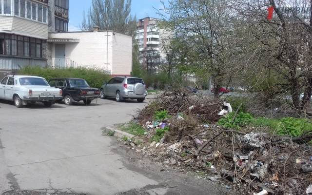 Жители Коммунарского района жалуются на свалку по соседству (ФОТО, ВИДЕО) Фото № 1 Жители Коммунарского района жалуются на свалку по соседству (ФОТО, ВИДЕО) Фото № 1