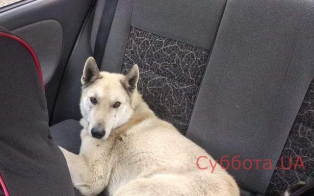 В Запорожье В Запорожье