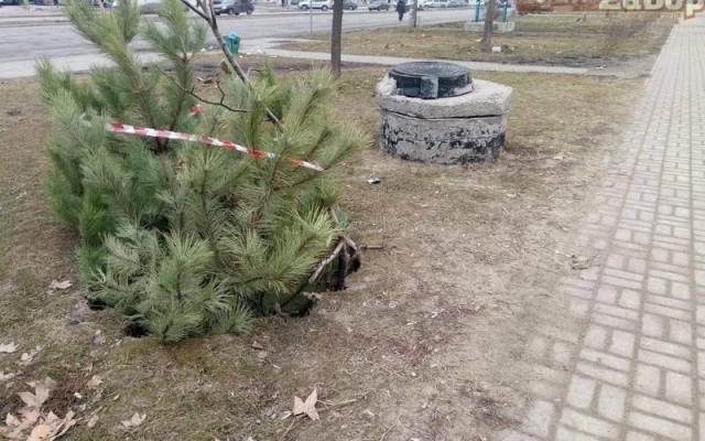 На Песках около дороги большой провал в асфальте (ФОТО) Фото № 1 На Песках около дороги большой провал в асфальте (ФОТО) Фото № 1