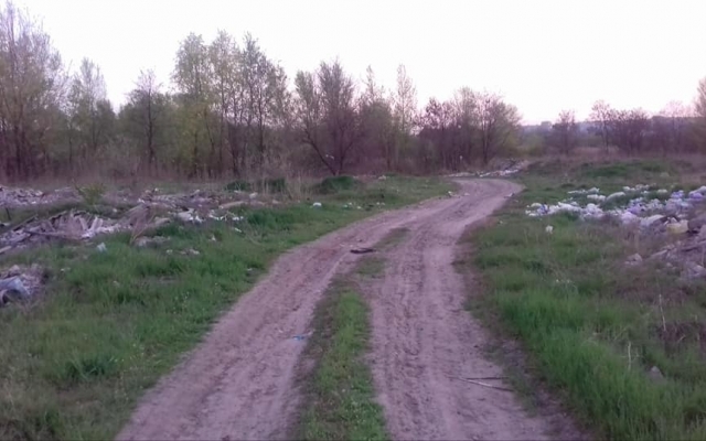 На окраине Запорожья обнаружены мешки с гниющими овощами (ФОТО) Фото № 1 На окраине Запорожья обнаружены мешки с гниющими овощами (ФОТО) Фото № 1