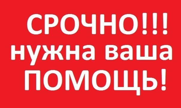 В Запорожской области просят помощи тренеру, который попал в беду Фото № 0 В Запорожской области просят помощи тренеру, который попал в беду Фото № 0