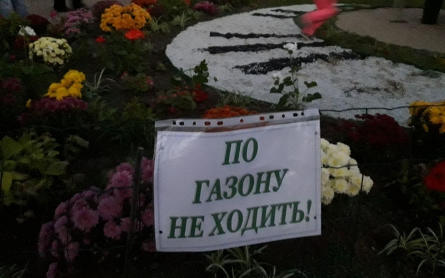 Запорожцы затоптали цветочные композиции на Покровской ярмарке (ФОТО) Фото № 1 Запорожцы затоптали цветочные композиции на Покровской ярмарке (ФОТО) Фото № 1