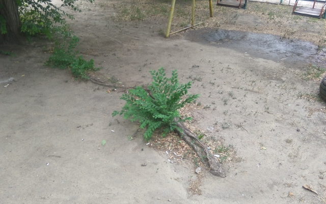 Детские площадки в Запорожье опасны для детей (ФОТО) Фото № 13 Детские площадки в Запорожье опасны для детей (ФОТО) Фото № 13