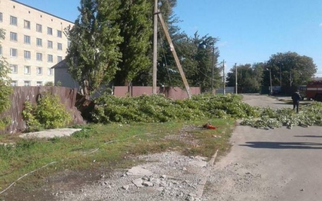 Женщину убила упавшая ветка: О трагедии рассказали на центральном телеканале (ВИДЕО) Фото № 0 Женщину убила упавшая ветка: О трагедии рассказали на центральном телеканале (ВИДЕО) Фото № 0