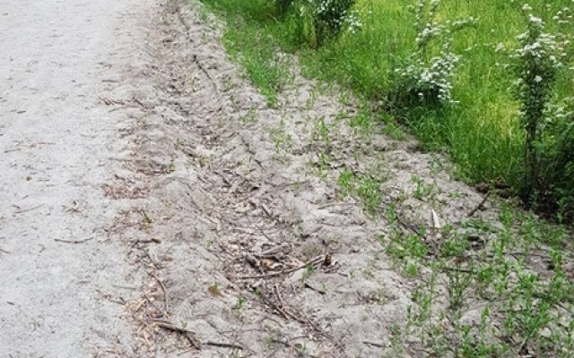 Запорожцам страшно ходить по Запорожцам страшно ходить по