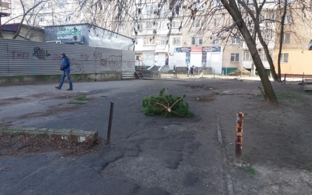 Запорожцы возмущены невежеством земляков (ФОТО) Фото № 2 Запорожцы возмущены невежеством земляков (ФОТО) Фото № 2