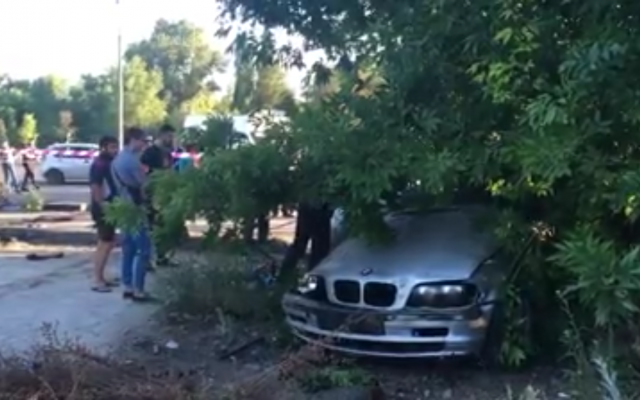 Полиция разыскивает очевидцев жуткого ДТП Фото № 0 Полиция разыскивает очевидцев жуткого ДТП Фото № 0