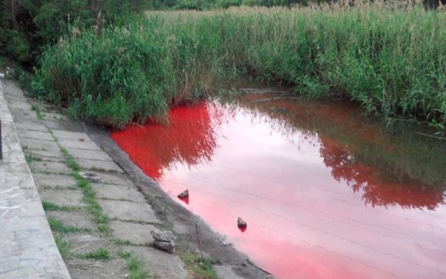 В Запорожье река окрасилась в красный цвет (ФОТО) Фото № 1 В Запорожье река окрасилась в красный цвет (ФОТО) Фото № 1