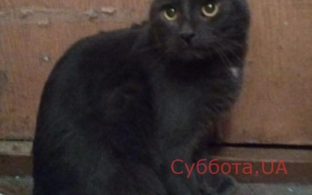 В Запорожье прохожие обнаружили пакет с В Запорожье прохожие обнаружили пакет с