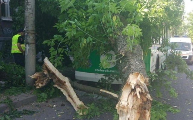 В полиции рассказали подробности ДТП на бульваре Шевченко (ФОТО) Фото № 3 В полиции рассказали подробности ДТП на бульваре Шевченко (ФОТО) Фото № 3