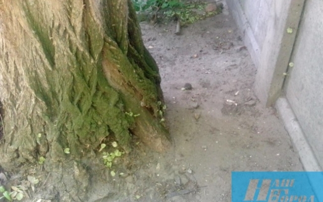 Полицейские отказались ехать на вызов из-за Полицейские отказались ехать на вызов из-за