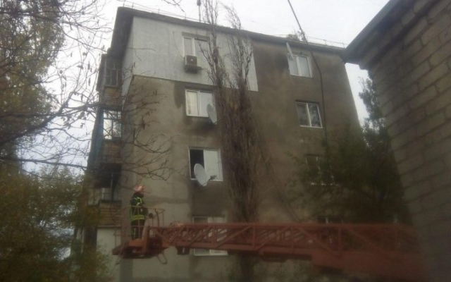 Под Запорожьем огромное дерево рухнуло на многоэтажный дом (ФОТО) Фото № 0 Под Запорожьем огромное дерево рухнуло на многоэтажный дом (ФОТО) Фото № 0
