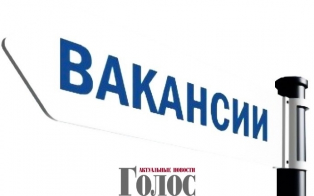 Какие вакансии актуальны в Запорожской области? Фото № 0 Какие вакансии актуальны в Запорожской области? Фото № 0