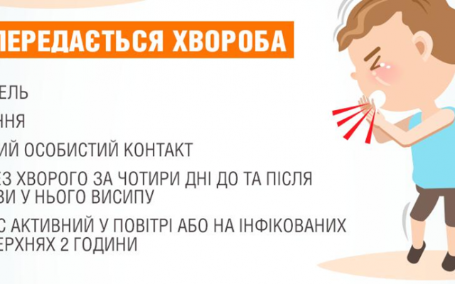 В Запорожье и области свирепствует опасная болезнь Фото № 1 В Запорожье и области свирепствует опасная болезнь Фото № 1
