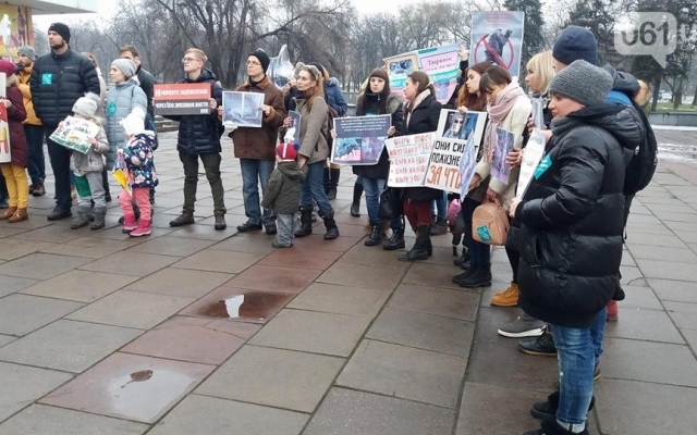 Сегодня несколько десятков запорожцев вышли на митинг (ФОТО) Фото № 4 Сегодня несколько десятков запорожцев вышли на митинг (ФОТО) Фото № 4