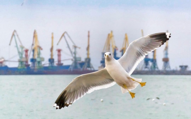 Серьезная подготовка: Запорожский курорт на пиар потратит большие деньги Фото № 0 Серьезная подготовка: Запорожский курорт на пиар потратит большие деньги Фото № 0