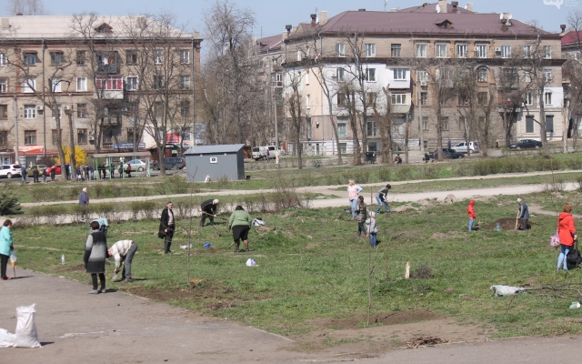 Неравнодушные запорожцы высадили в сквере Яланского дубовую рощу (ФОТО) Фото № 7 Неравнодушные запорожцы высадили в сквере Яланского дубовую рощу (ФОТО) Фото № 7