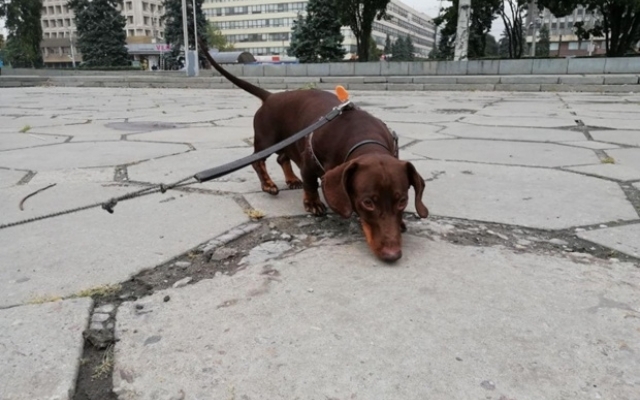 В Запорожье прошла В Запорожье прошла