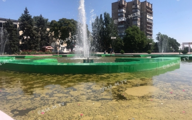 В Мелитополе дети купаются в воде, которая несет опасность (ФОТО, ВИДЕО) Фото № 2 В Мелитополе дети купаются в воде, которая несет опасность (ФОТО, ВИДЕО) Фото № 2