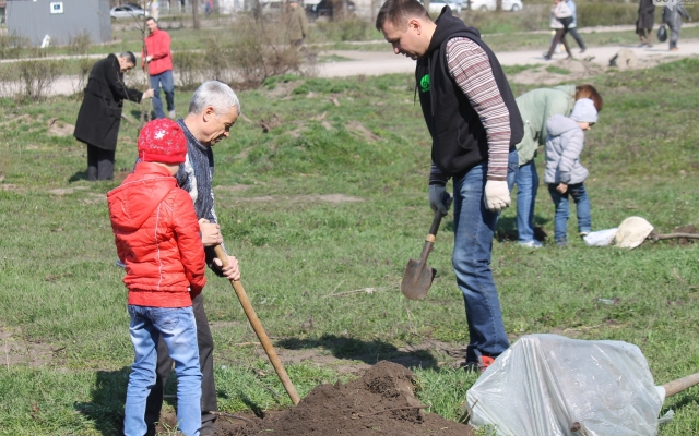 Неравнодушные запорожцы высадили в сквере Яланского дубовую рощу (ФОТО) Фото № 4 Неравнодушные запорожцы высадили в сквере Яланского дубовую рощу (ФОТО) Фото № 4