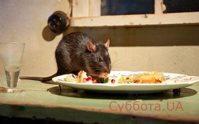В Запорожской области в столовой заметили жуткую картину Фото № 0 В Запорожской области в столовой заметили жуткую картину Фото № 0