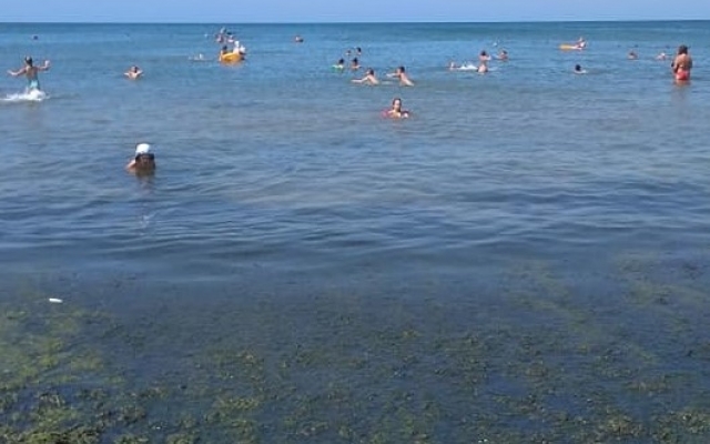 Картина на запорожском курорте шокировала отдыхающих (ФОТО) Фото № 1 Картина на запорожском курорте шокировала отдыхающих (ФОТО) Фото № 1
