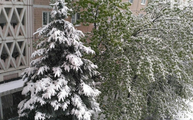 Запорожцы делятся уникальными кадрами стихии в городе Фото № 4 Запорожцы делятся уникальными кадрами стихии в городе Фото № 4
