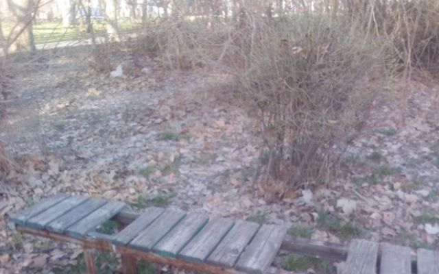 В сети показали снимки раскуроченной площадки в парке В сети показали снимки раскуроченной площадки в парке